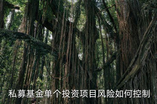  私募基金單個投資項目風(fēng)險如何控制