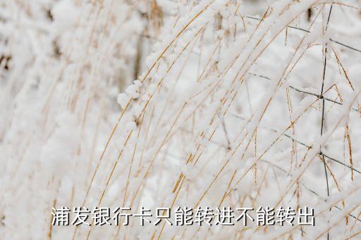  浦發(fā)銀行卡只能轉(zhuǎn)進不能轉(zhuǎn)出