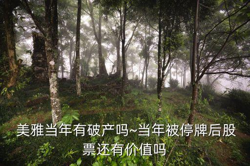  美雅當(dāng)年有破產(chǎn)嗎~當(dāng)年被停牌后股票還有價值嗎