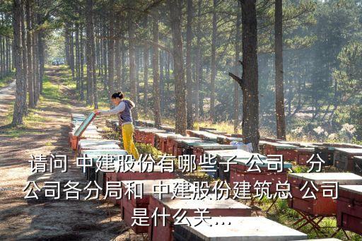 請(qǐng)問 中建股份有哪些子 公司、分 公司各分局和 中建股份建筑總 公司是什么關(guān)...