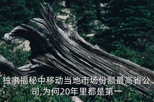 中國移動(dòng)投資規(guī)模
