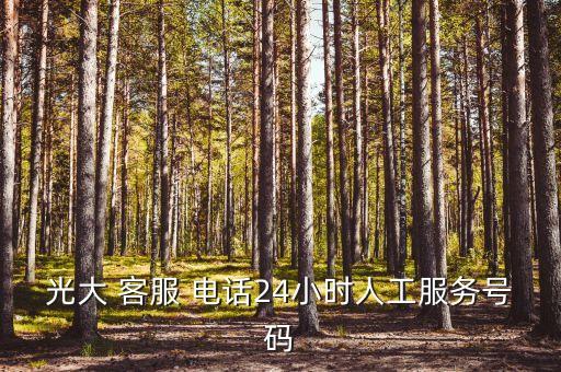 光大銀行客服電話(huà)怎么打通,西安光大銀行客服電話(huà)