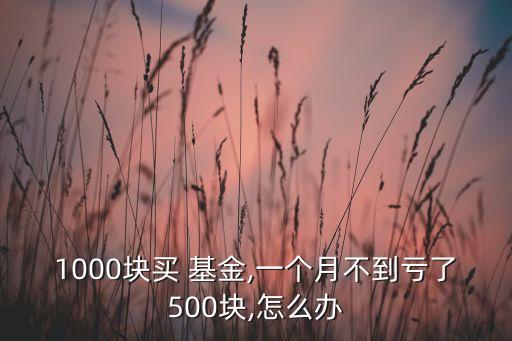 1000塊買(mǎi) 基金,一個(gè)月不到虧了500塊,怎么辦