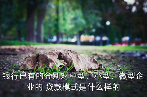 銀行已有的分別對中型、小型、微型企業(yè)的 貸款模式是什么樣的