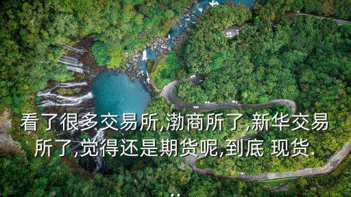 看了很多交易所,渤商所了,新華交易所了,覺(jué)得還是期貨呢,到底 現(xiàn)貨...