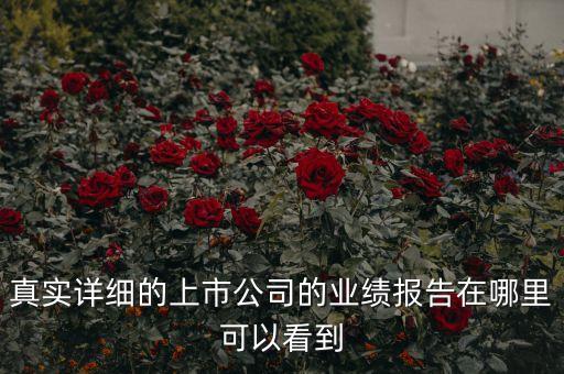 真實詳細(xì)的上市公司的業(yè)績報告在哪里可以看到