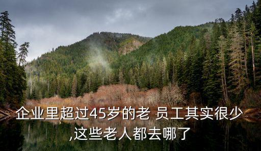公司員工老齡化