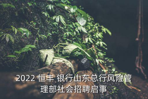 2022 恒豐 銀行山東總行風(fēng)險管理部社會招聘啟事