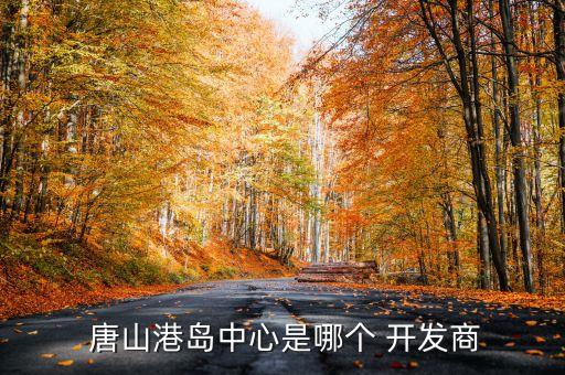 唐山豐南港建設(shè)開發(fā)有限責任公司,吉林市豐南化工有限責任公司