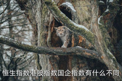 恒生指數港股指數國企指數有什么不同
