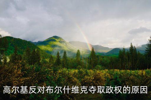高爾基反對布爾什維克奪取政權的原因