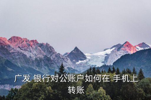  廣發(fā) 銀行對公賬戶如何在 手機上 轉(zhuǎn)賬