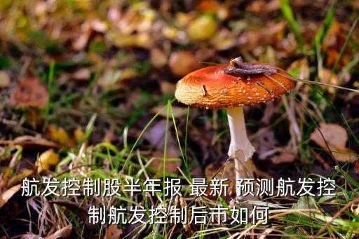航發(fā)控制股半年報(bào) 最新 預(yù)測航發(fā)控制航發(fā)控制后市如何