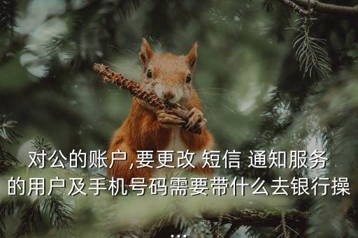 對公的賬戶,要更改 短信 通知服務的用戶及手機號碼需要帶什么去銀行操...