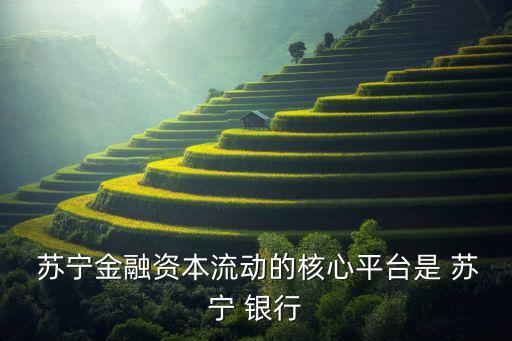  蘇寧金融資本流動的核心平臺是 蘇寧 銀行