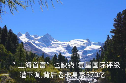 上海復(fù)興收購(gòu)徐礦醫(yī)院