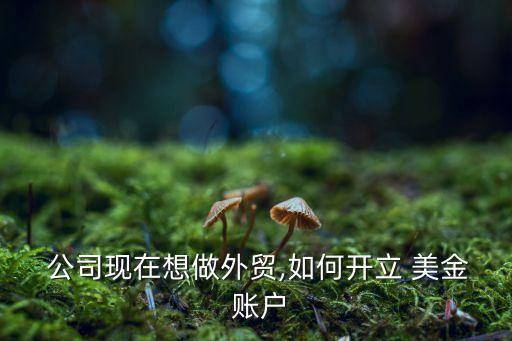  公司現(xiàn)在想做外貿(mào),如何開(kāi)立 美金 賬戶