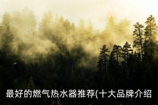 最好的燃氣熱水器推薦(十大品牌介紹
