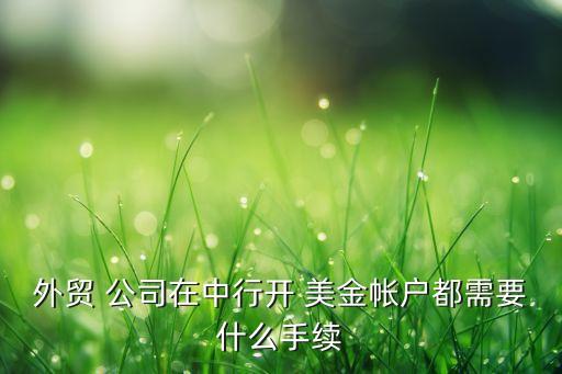 外貿(mào) 公司在中行開(kāi) 美金帳戶都需要什么手續(xù)