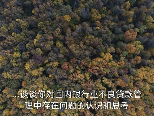 ...談談你對國內(nèi)銀行業(yè)不良貸款管理中存在問題的認識和思考
