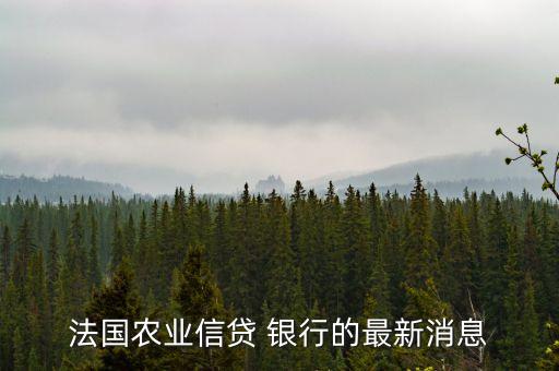 法國(guó)農(nóng)業(yè)信貸 銀行的最新消息