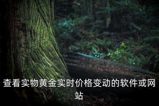 上海金際投資,上海際豐投資
