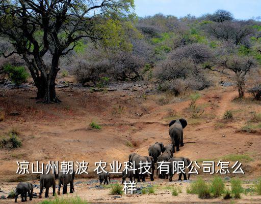 海南新元農業(yè)開發(fā)有限公司,海南獨角獸農業(yè)開發(fā)有限公司