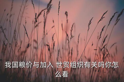我國糧價(jià)與加入 世貿(mào)組織有關(guān)嗎你怎么看