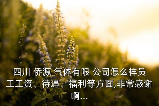 四川 僑源 氣體有限 公司怎么樣員工工資、待遇、福利等方面,非常感謝啊...