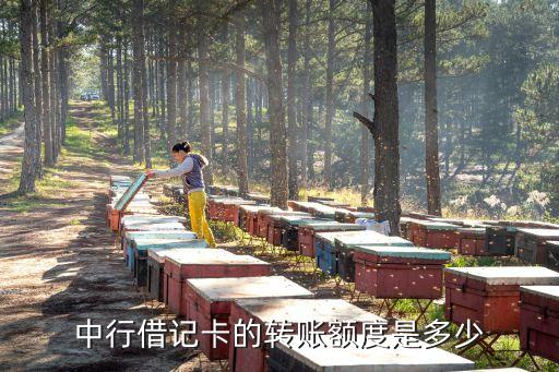 中國(guó)銀聯(lián)線下交易額