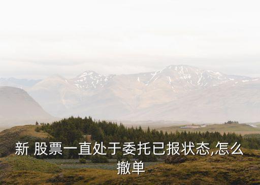 新 股票一直處于委托已報(bào)狀態(tài),怎么 撤單