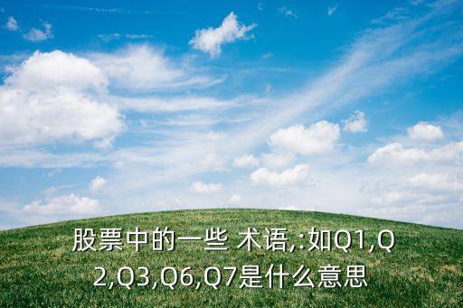 股票財務(wù)指標術(shù)語及意義,股票里的每個術(shù)語有什么意義