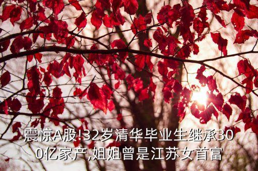 海瀾集團(tuán)營業(yè)收入