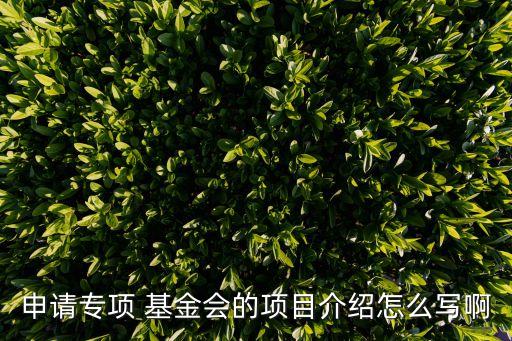 基金推薦意見如何寫,基金項目和編號如何寫