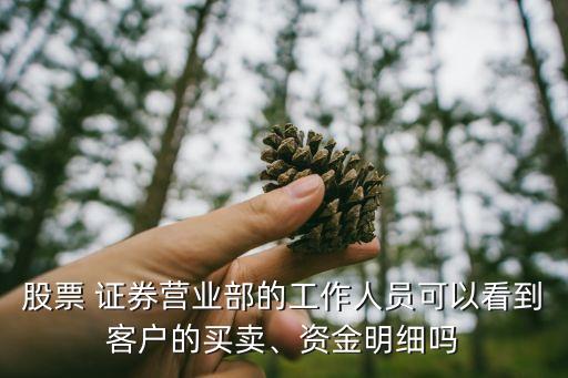 股票 證券營(yíng)業(yè)部的工作人員可以看到客戶的買(mǎi)賣(mài)、資金明細(xì)嗎