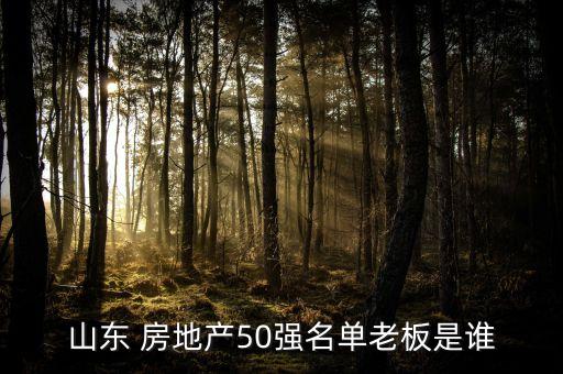 山東 房地產(chǎn)50強(qiáng)名單老板是誰(shuí)