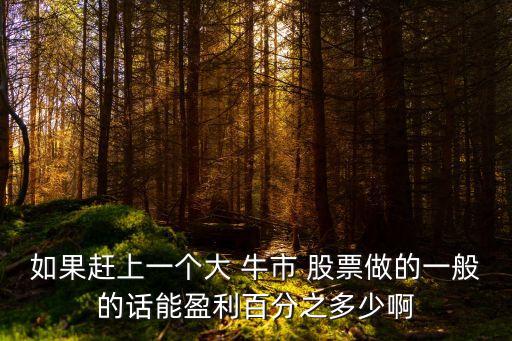 如果趕上一個大 牛市 股票做的一般的話能盈利百分之多少啊