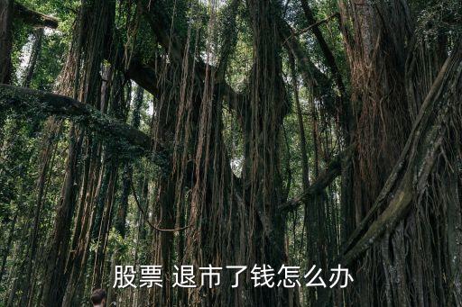 買(mǎi)的股票退市了怎么辦,退市怎么補(bǔ)償股民
