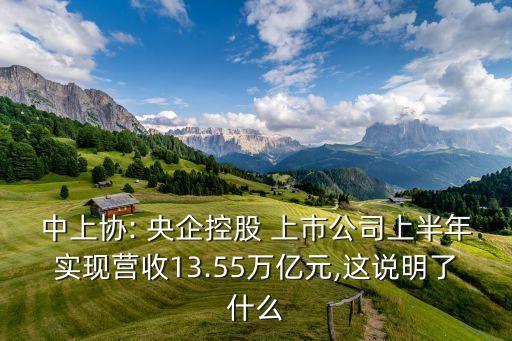 中上協(xié): 央企控股 上市公司上半年實(shí)現(xiàn)營收13.55萬億元,這說明了什么