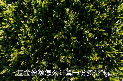  基金份額怎么計算一份多少錢