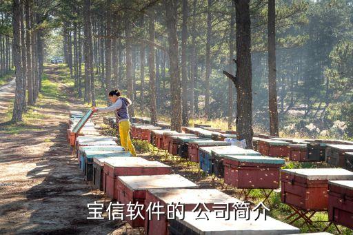 上海寶信集團旗下公司