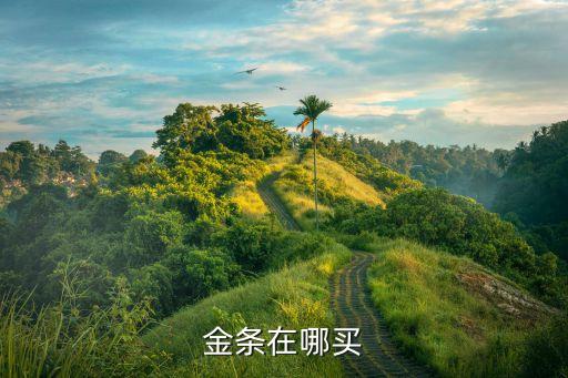 金條在哪買(mǎi)