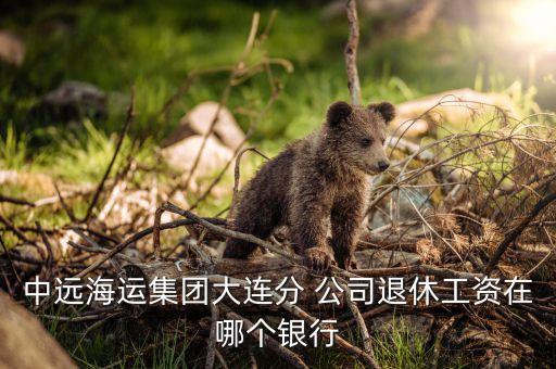 中遠(yuǎn)海運(yùn)集團(tuán)大連分 公司退休工資在哪個銀行