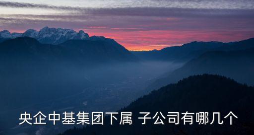  央企中基集團(tuán)下屬 子公司有哪幾個(gè)