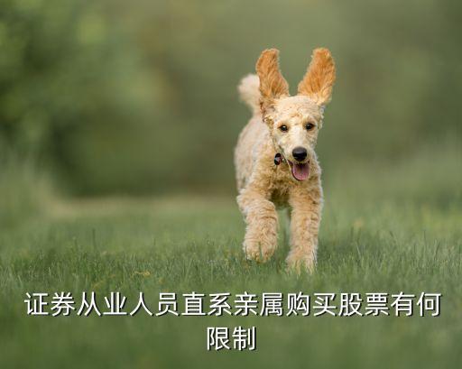  證券從業(yè)人員直系親屬購(gòu)買(mǎi)股票有何限制