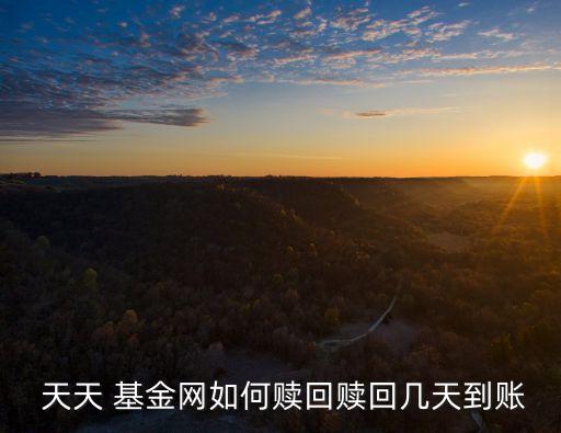 天天基金網(wǎng)賣(mài)基金快速取現(xiàn),天天網(wǎng)基金
