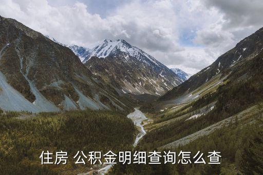 住房 公積金明細(xì)查詢怎么查