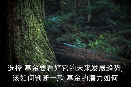 2016潛力基金,未來三年最有潛力的基金