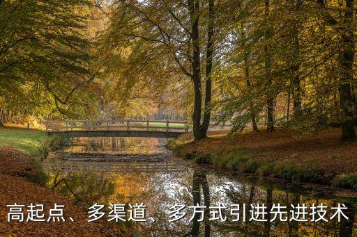 高起點(diǎn)、多渠道、多方式引進(jìn)先進(jìn)技術(shù)