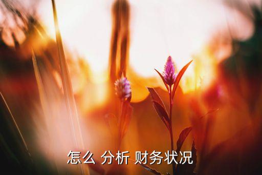 香奈兒公司財務報表分析,哪個公司的財務報表好分析